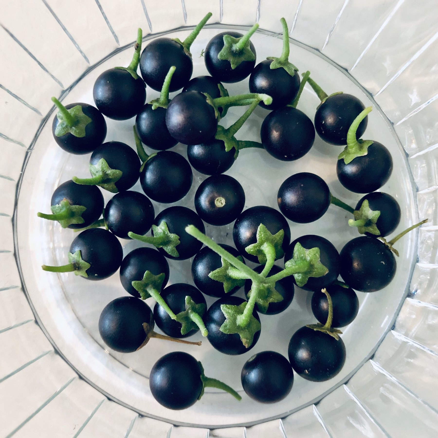 Glass bowl with dark purple berries and green stems.