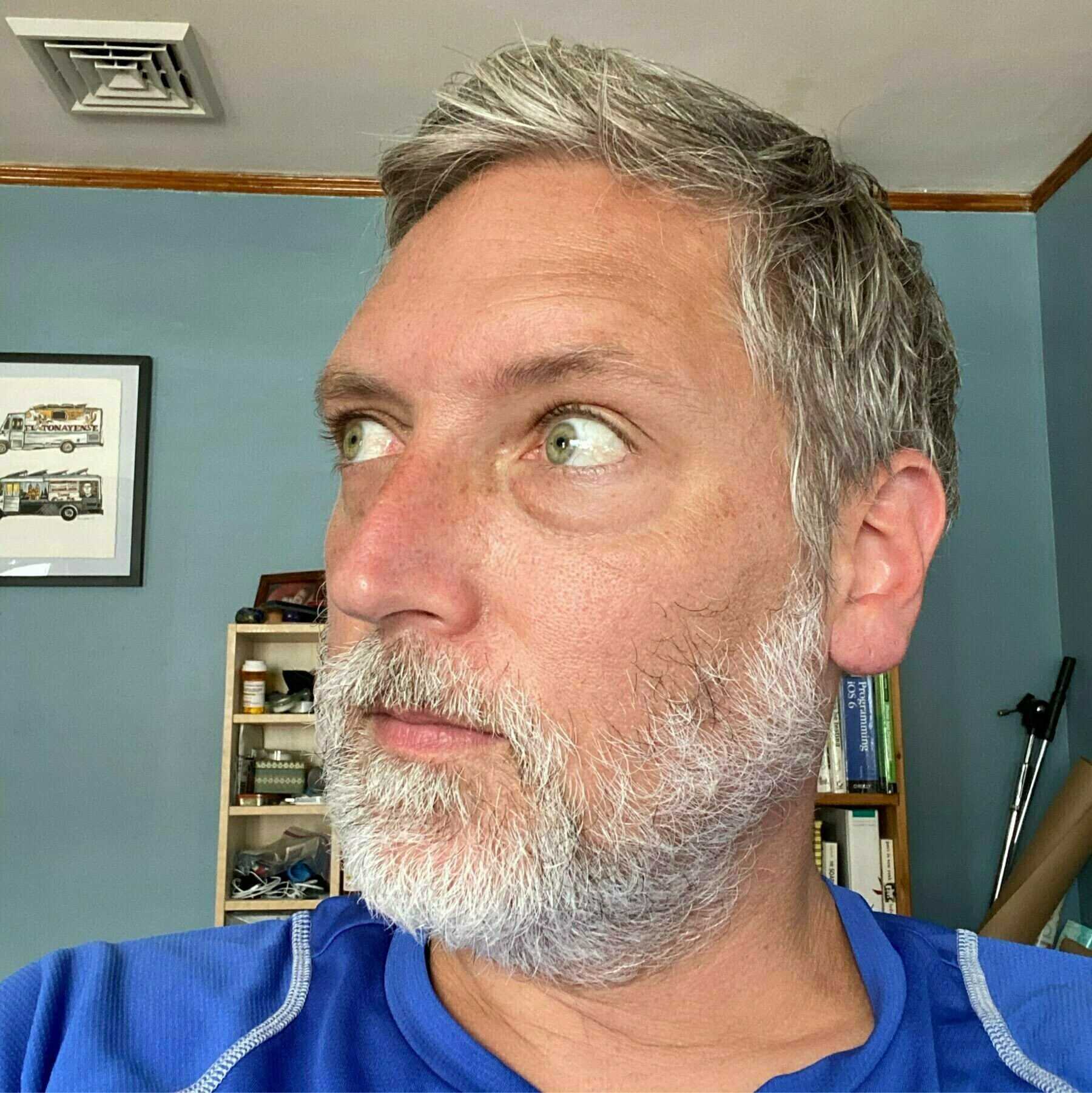 side profile of myself with a blue running shirt and significant white beard