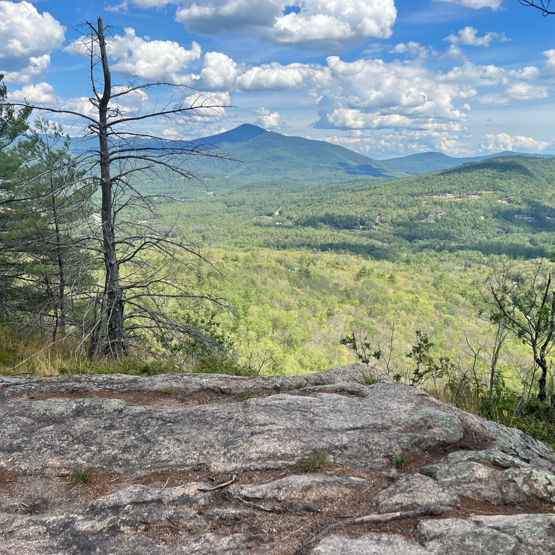 landscape of green trees from a rocky outcrop with green mountains in the distance