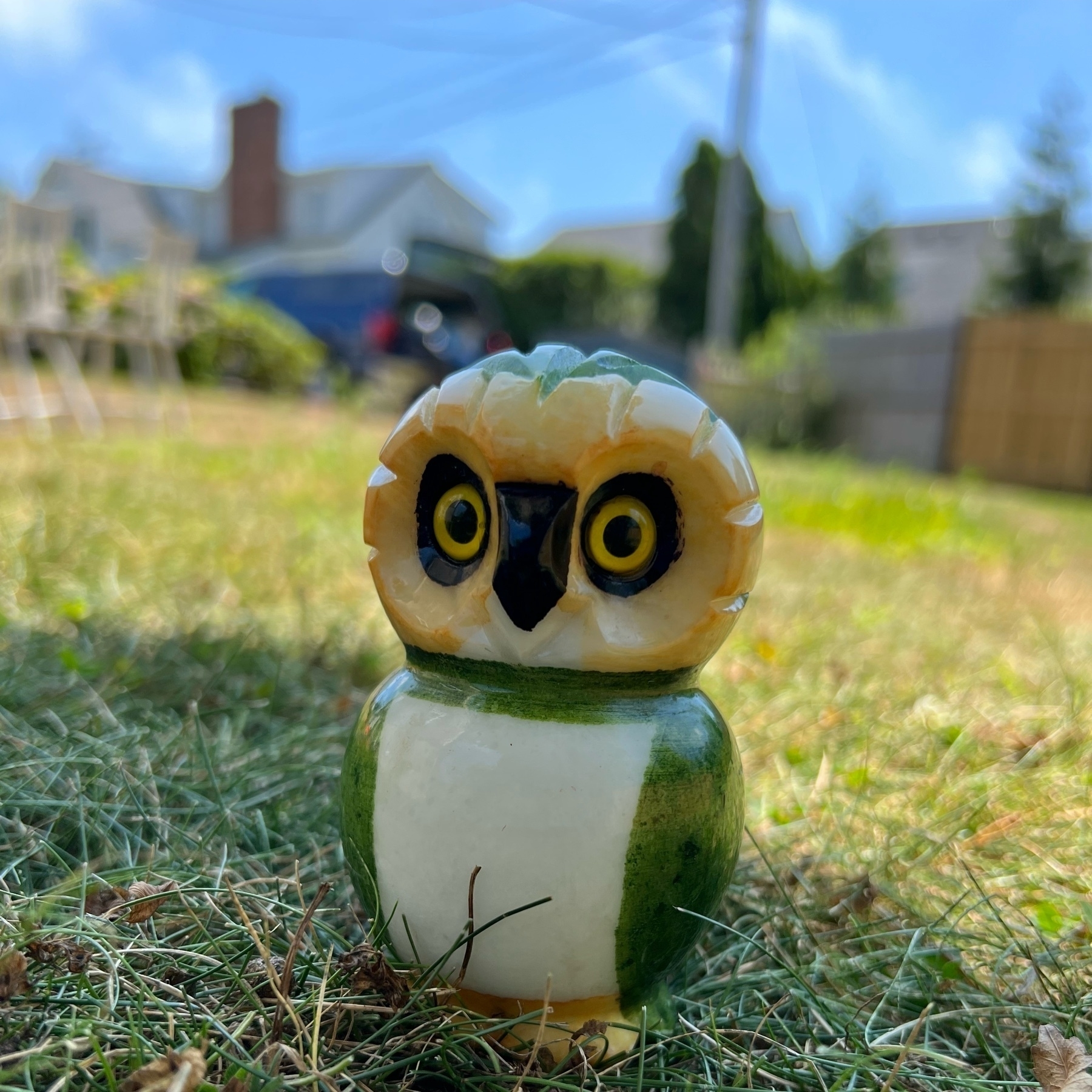small painted alabastar owl, sitting on a grassy lawn